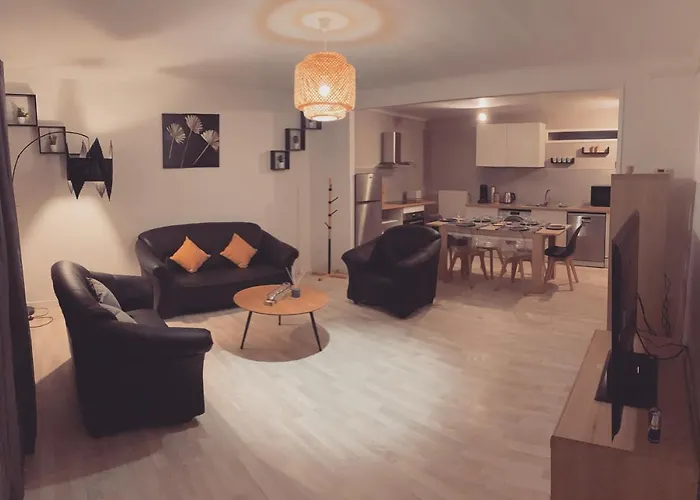Superbe Duplex En Plein Coeur De Nancy