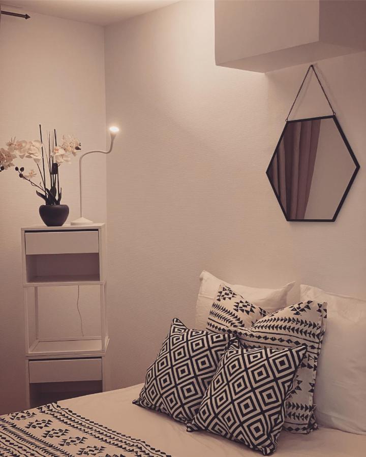 Superbe Duplex En Plein Coeur De Nancy Appartement *