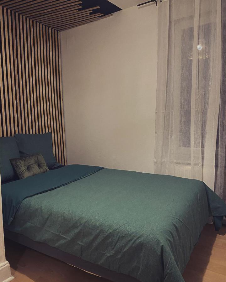 Superbe Duplex En Plein Coeur De Nancy * Nancy