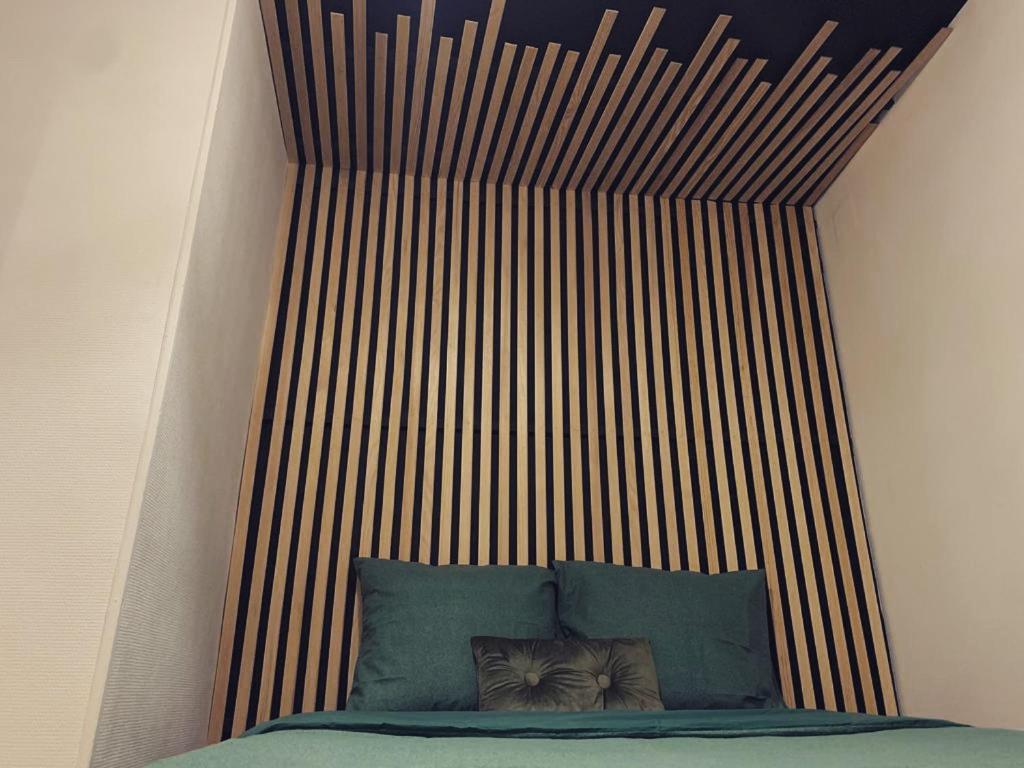 Appartement Superbe Duplex En Plein Coeur De Nancy *